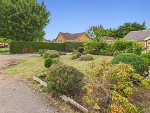 Front Garden- click for photo gallery